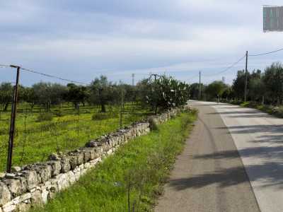 Strada Crocifisso, meta ideale per i ciclisti che vogliono allontanarsi dallo smog cittadino